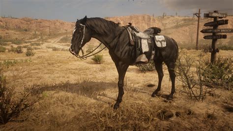 They can be identified by their lean frame and unique dorsal stripe along the spine. . Best horse in rdo